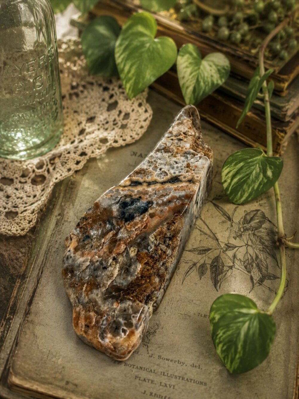 Polychrome Ocean Jasper Decorative Stone Slice - Natural Multicolor ROCK